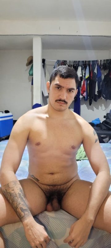 Leonino 5