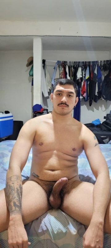 Leonino 4