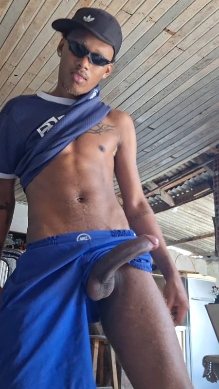 Novinho dot23 8