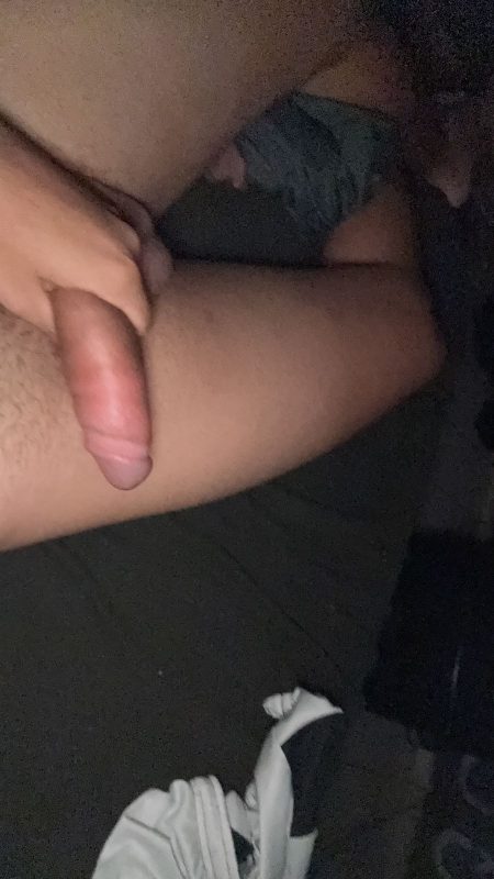 Noviinho Dotado 1