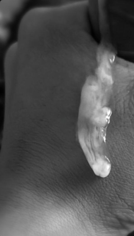 Baiano 22cm 12