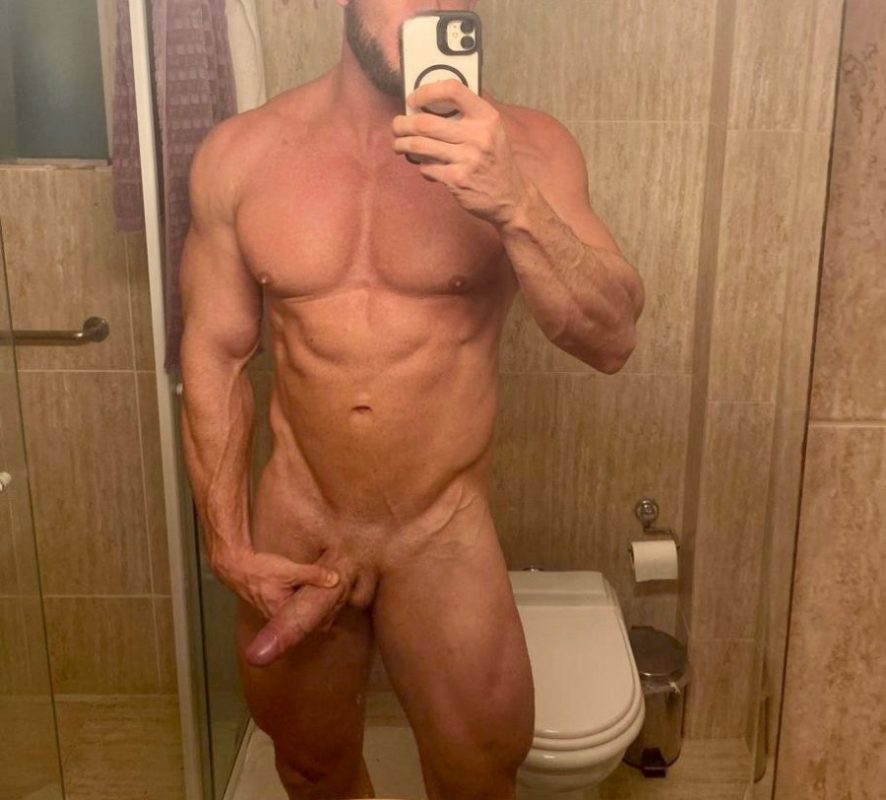 Bernardo 3
