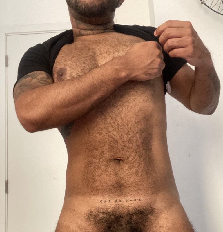 Urso Verst 3