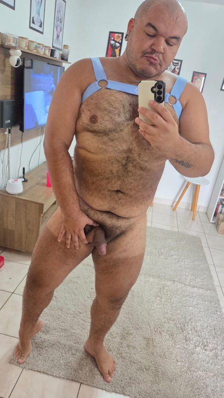 Urso 4