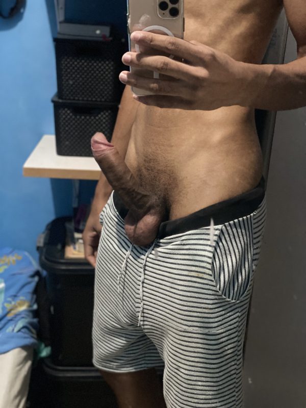 Novinho Dotadão 6