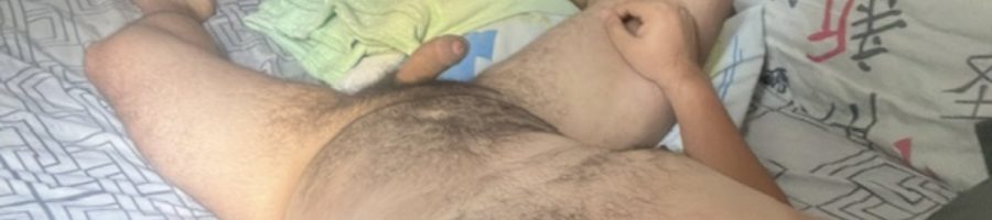 Urso Parrudinho