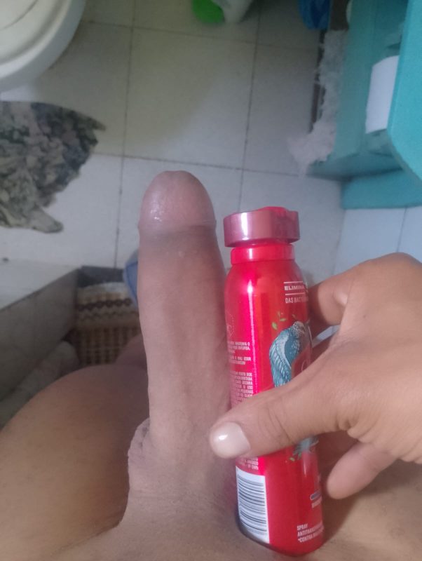 Novinho Dotadoo 1