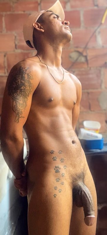Baiano Ativo 5