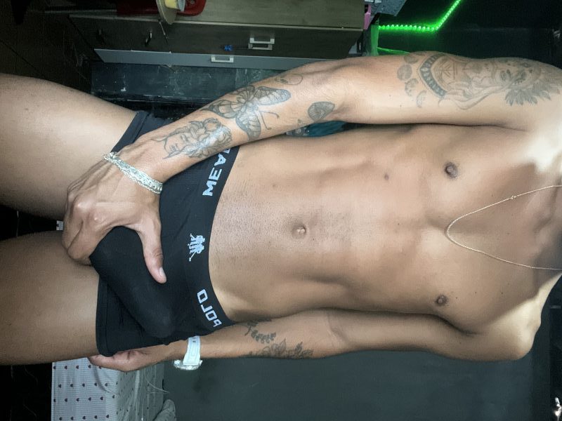 Novinho Dotaado 16