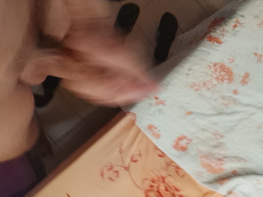 Apolo